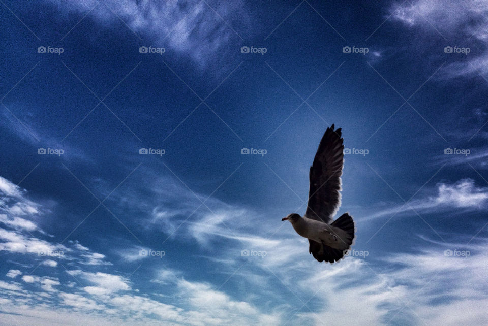 sky heaven blue clouds by analia