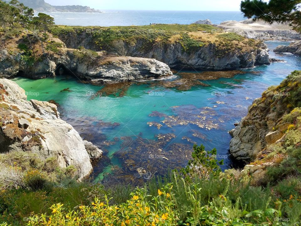 Carmel coastline