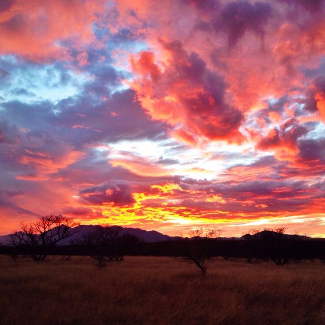 Fire in the sky