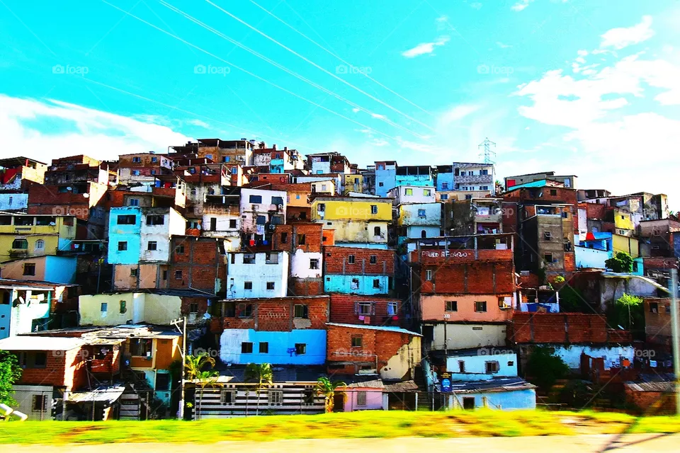 Daily Bahia