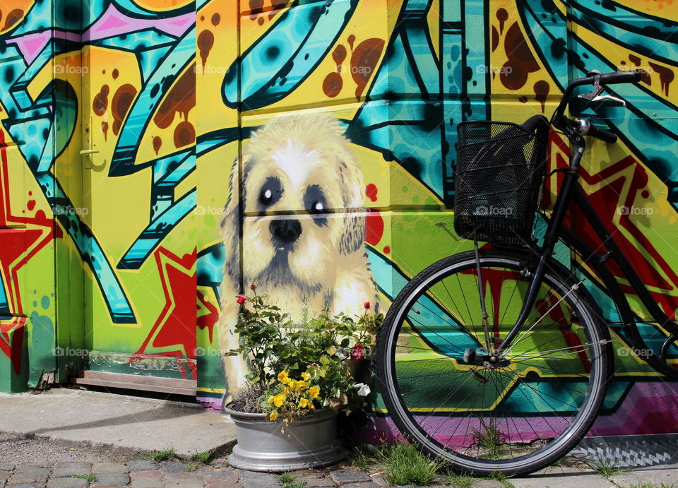 Graffiti dog.