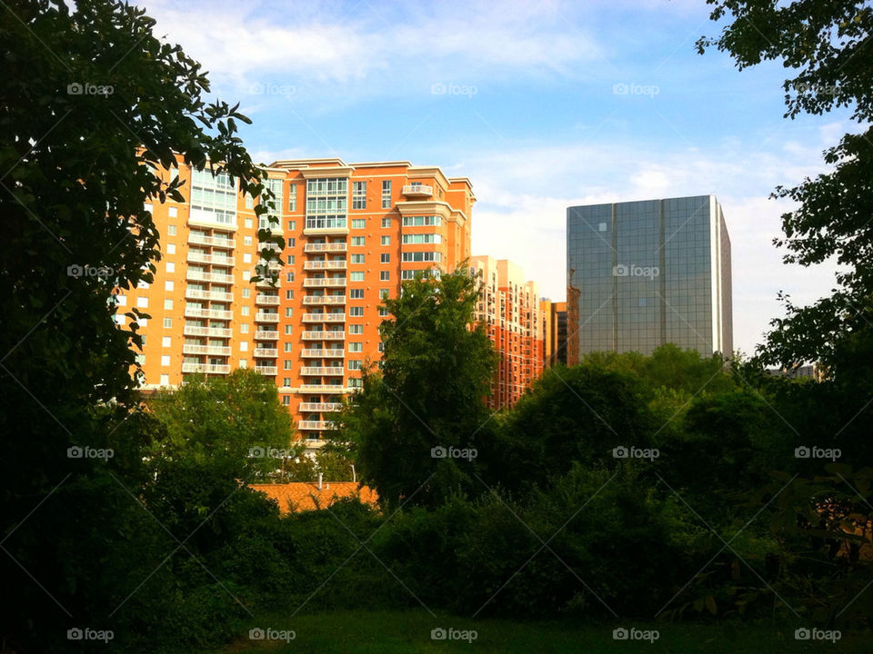 sky green nature blue by blackpearl079