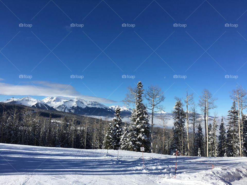 Snow, Winter, Cold, Wood, Mountain
