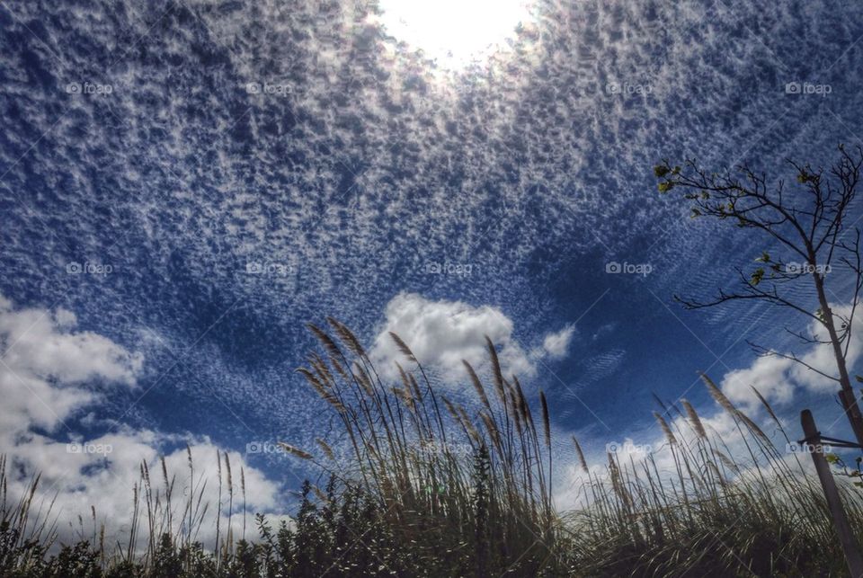 Sunshine on a cloudy day 