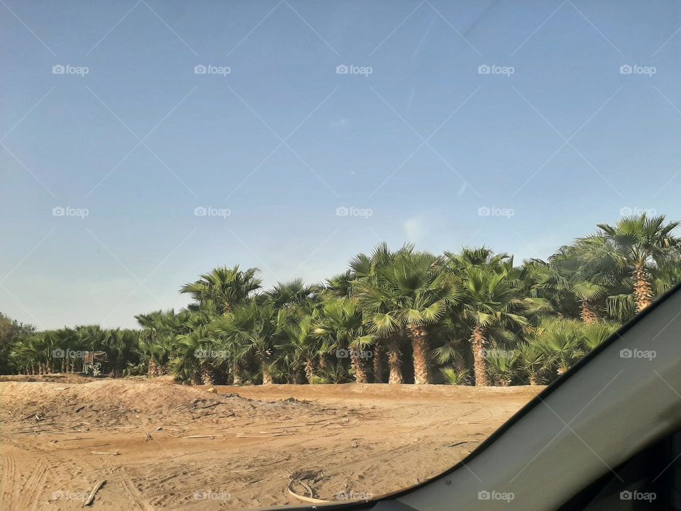 Please make me happy, I am poor, I need your help with support