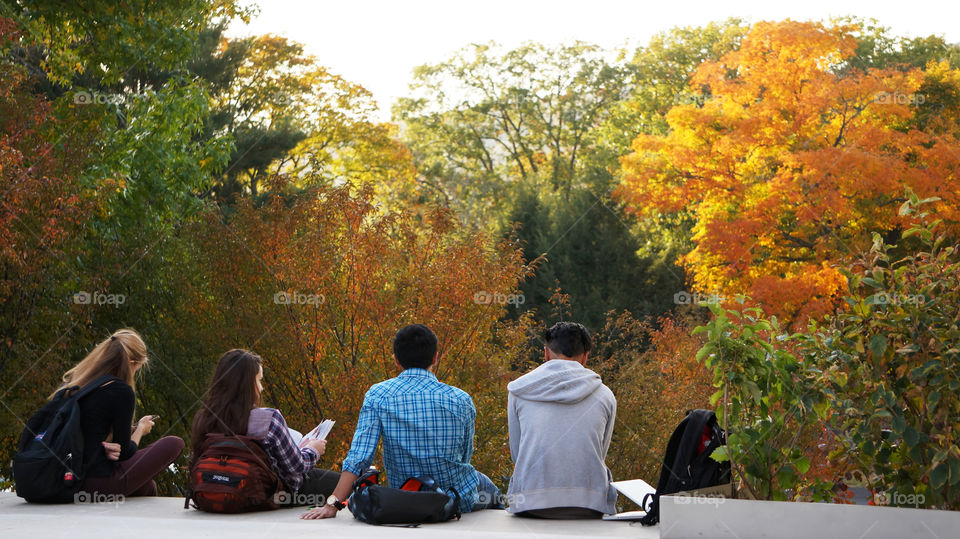  A group of friends gather outside to do homework and chat as the trees of autumn change color in front of them