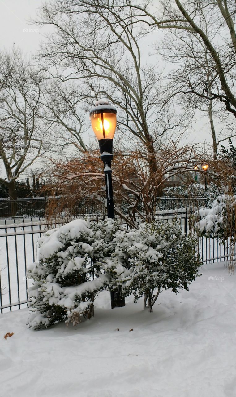 Snow Day NYC Park