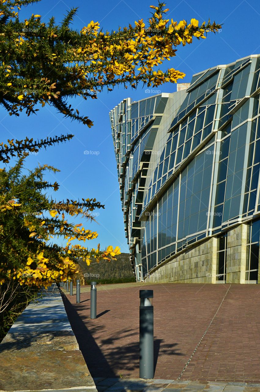 Nature vs Architecture. Nature vs Architecture. Gaiás Centre Museum. Cidade da Cultura. Santiago de Compostela