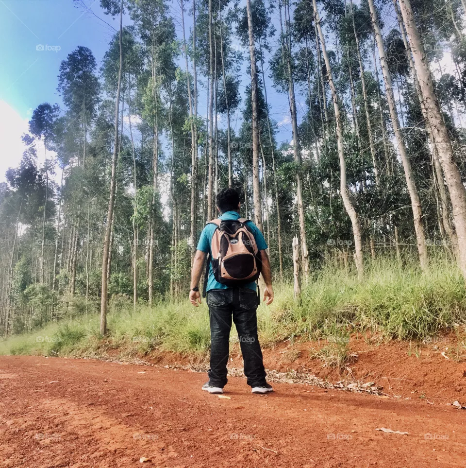 Floresta 