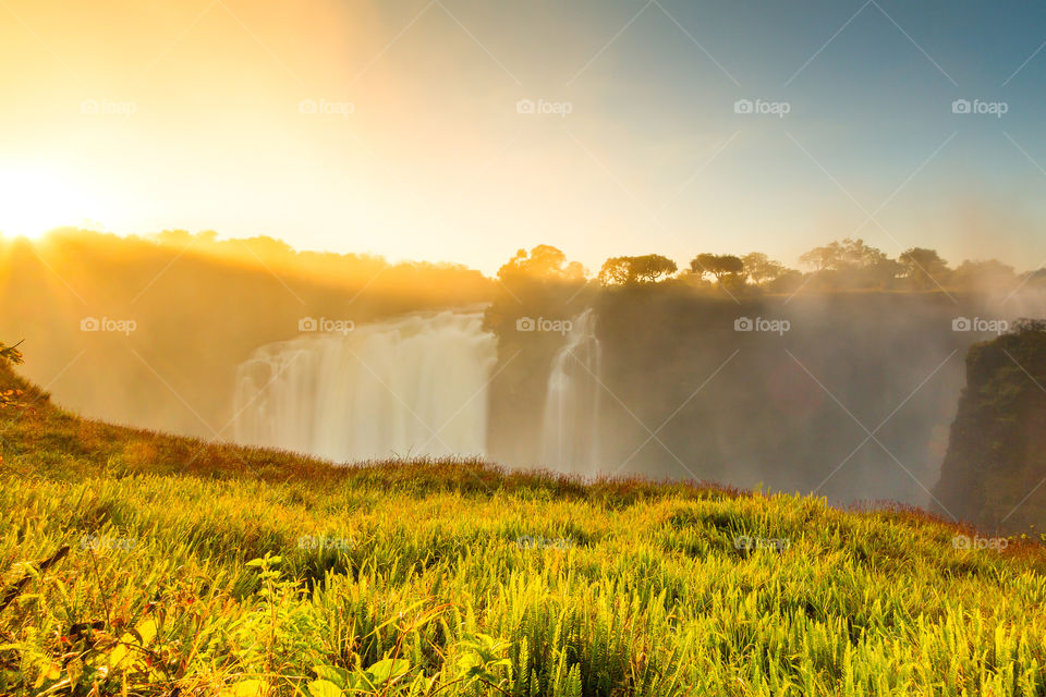 Sunset at the Victoria Falls in Africa, one of the seven natural wonders of the world. Green grass with a waterfall and yellow sun rays.
