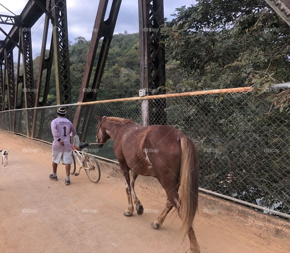 A man with a horse at the farm