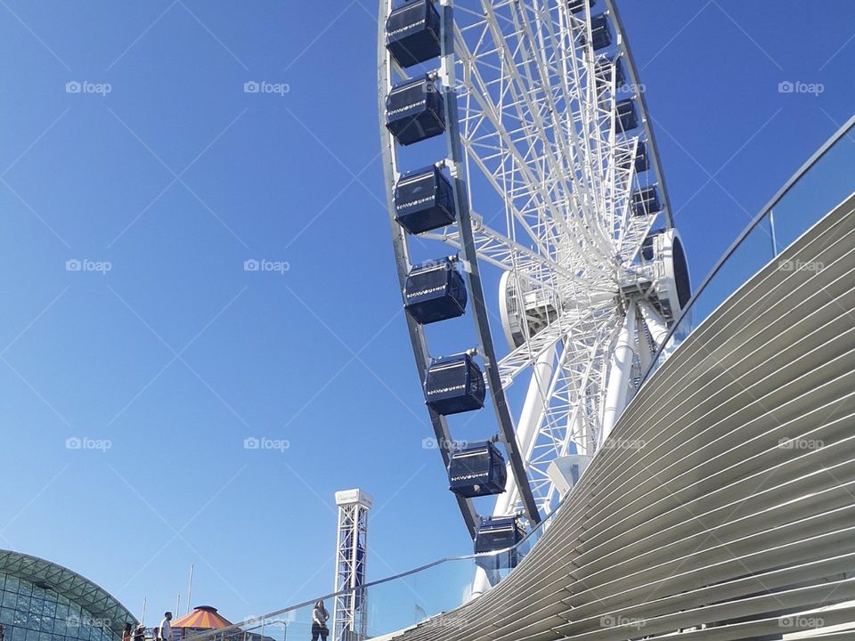 Navy Pier chicago