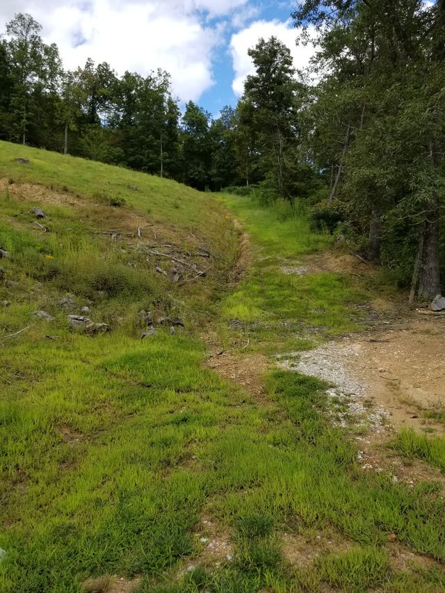 grassy mountain