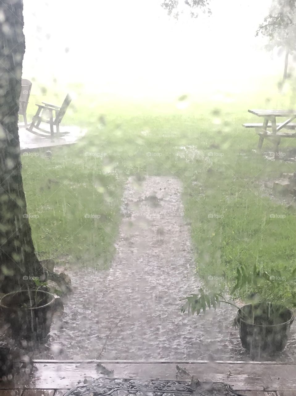 Very rainy day at the ranch in Texas! But the sun was shining in the distance, which made for a nice photo. 