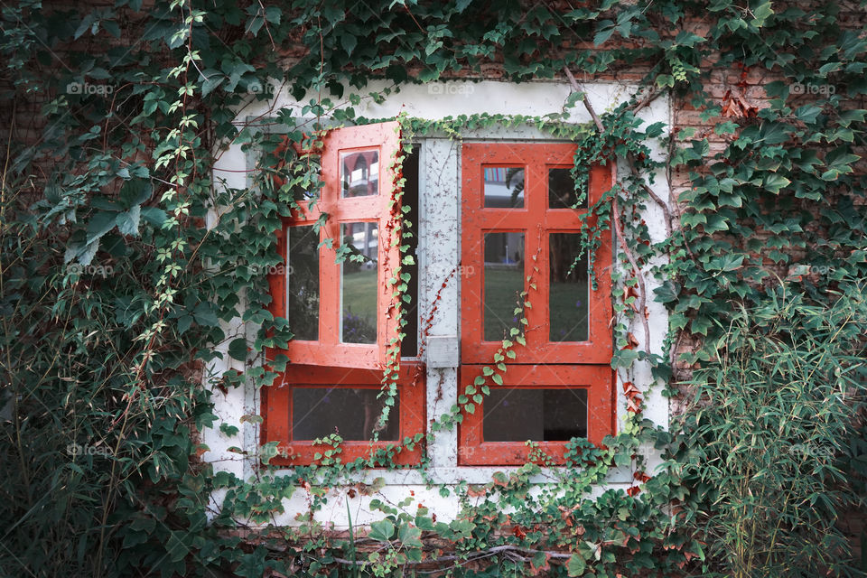garden windows