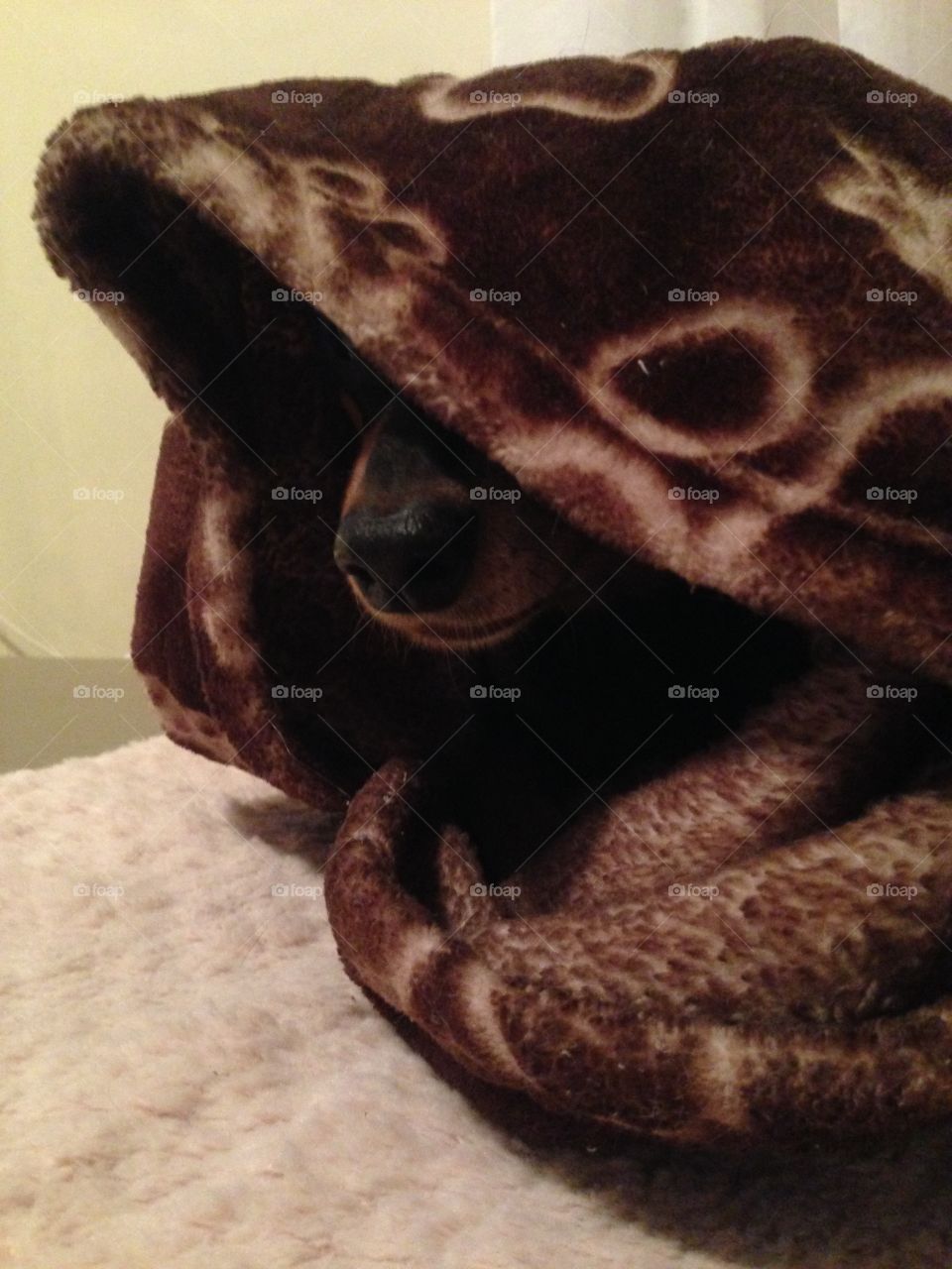 May the force be with you! 