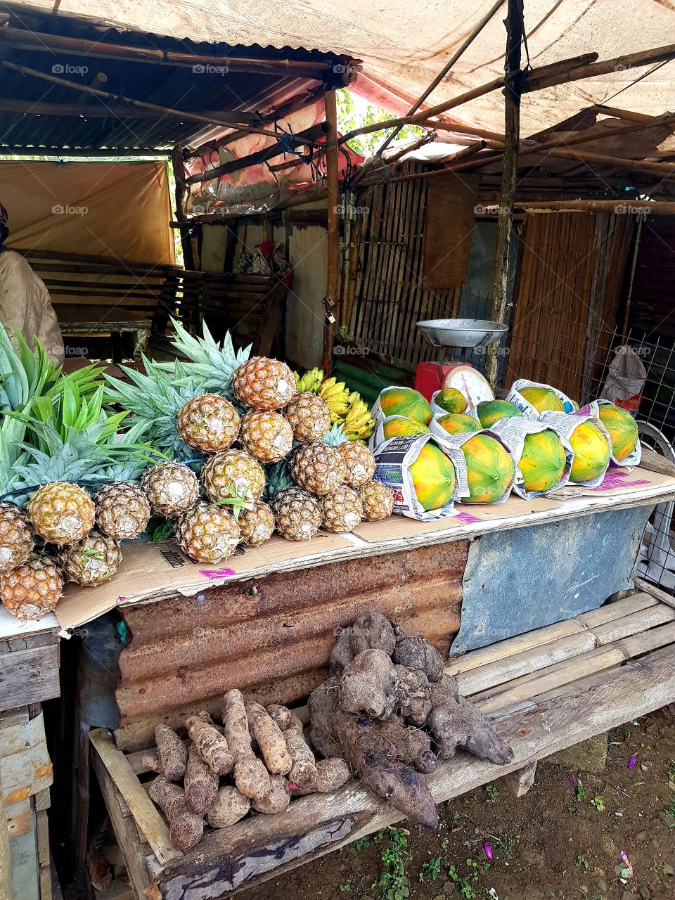 local harvests at Laguna Philippines