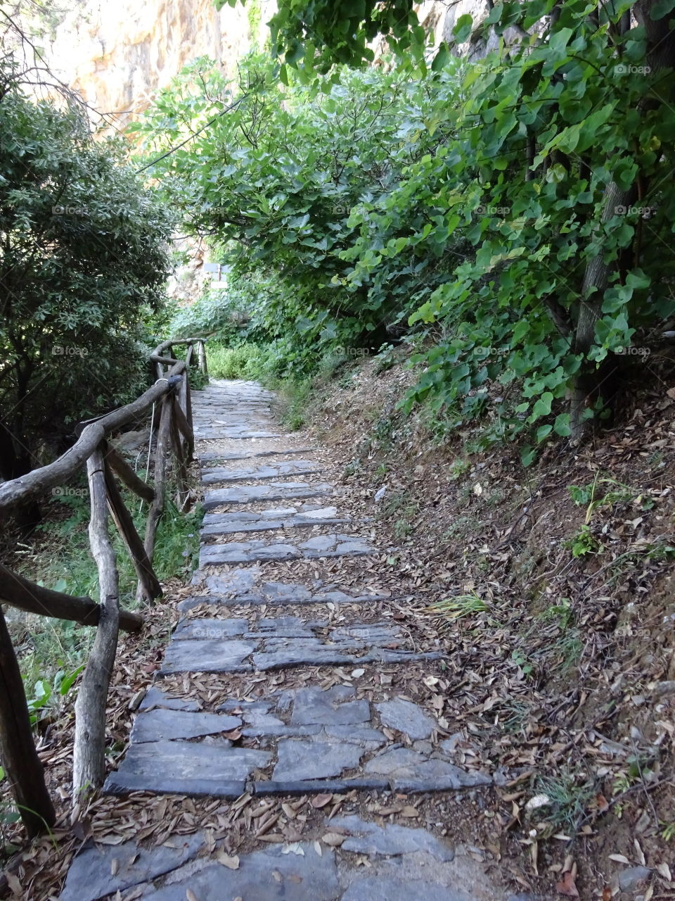 pelion mountain path