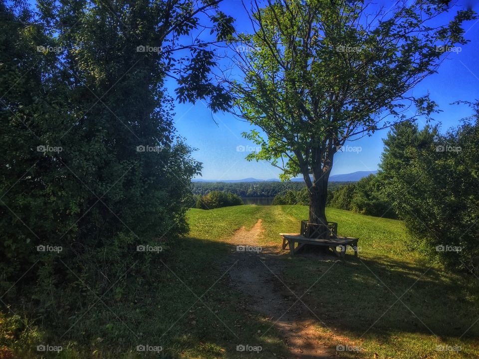 Fields, River, and mountain. . A hill trail leading down to the Hudson River in Rhinebeck, New York. 