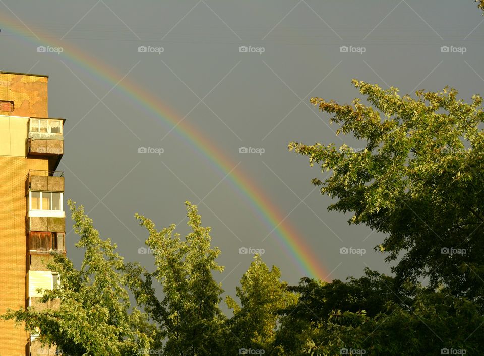 Rainbow, No Person, Rain, Nature, Summer