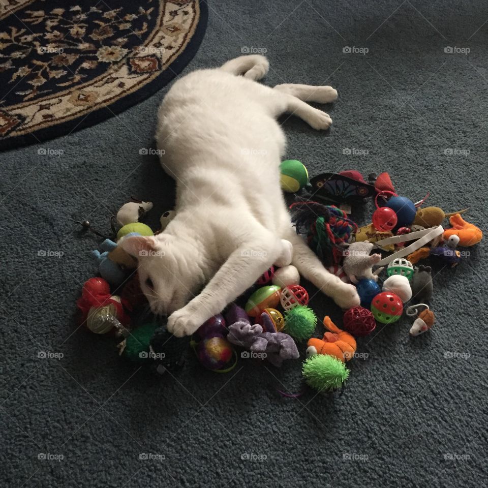 Toy Overload