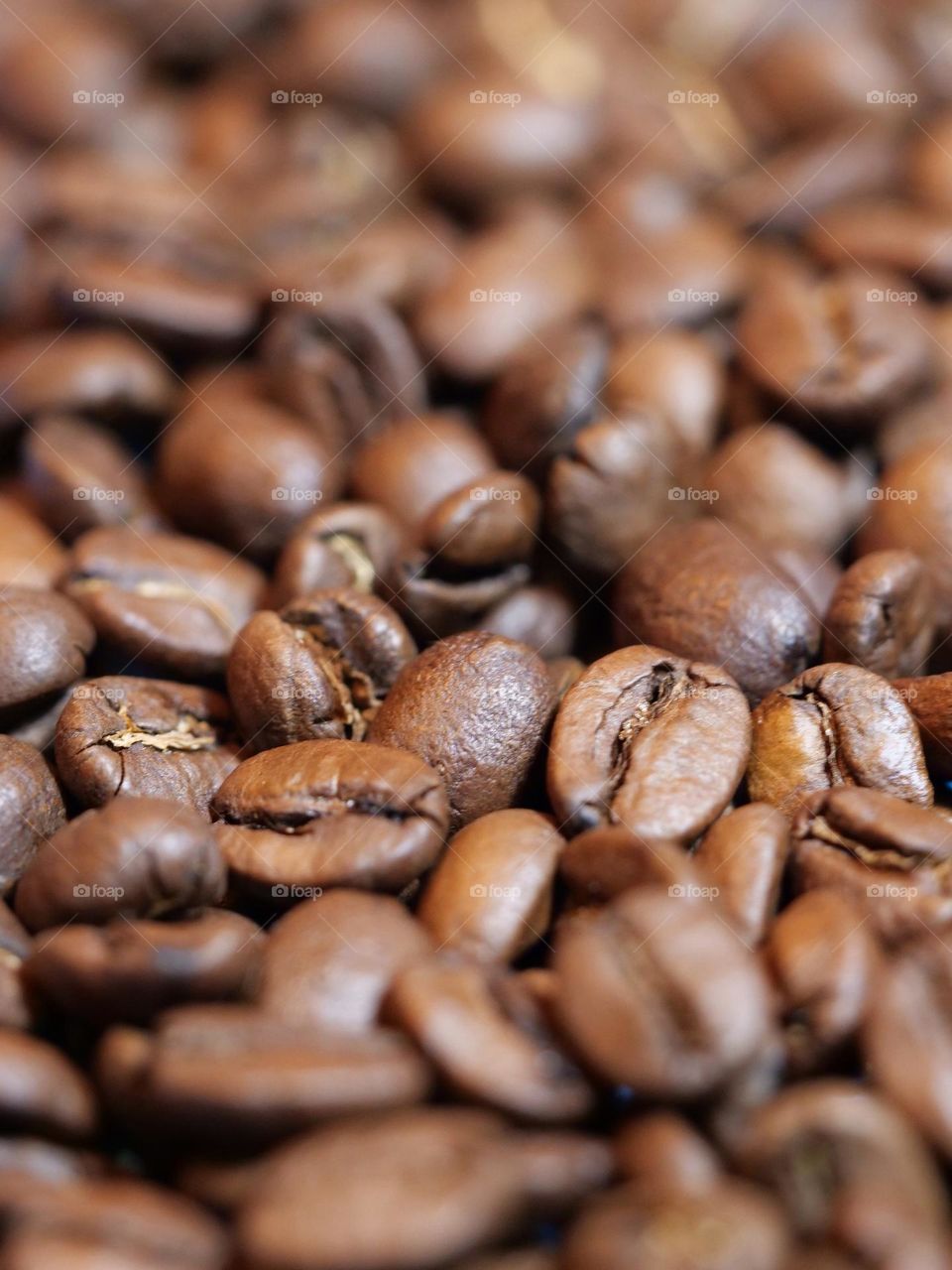 Close-up of coffee beans