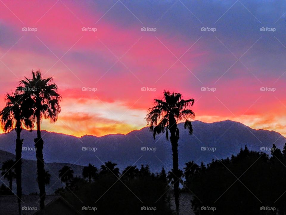 sunset in Palm Desert