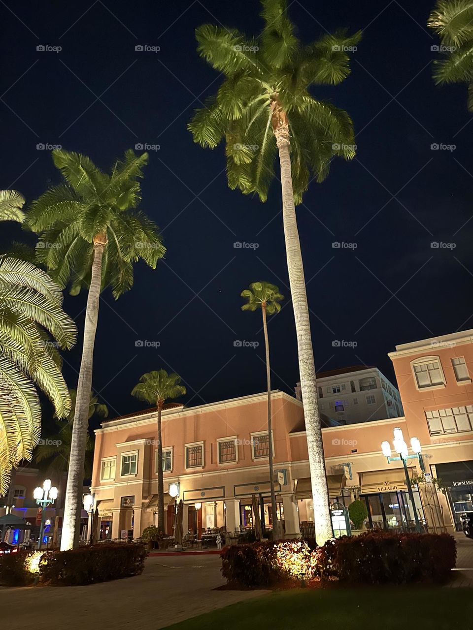 Mizner Boca Raton FL