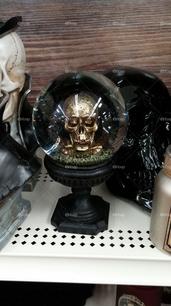 Skull Decoration