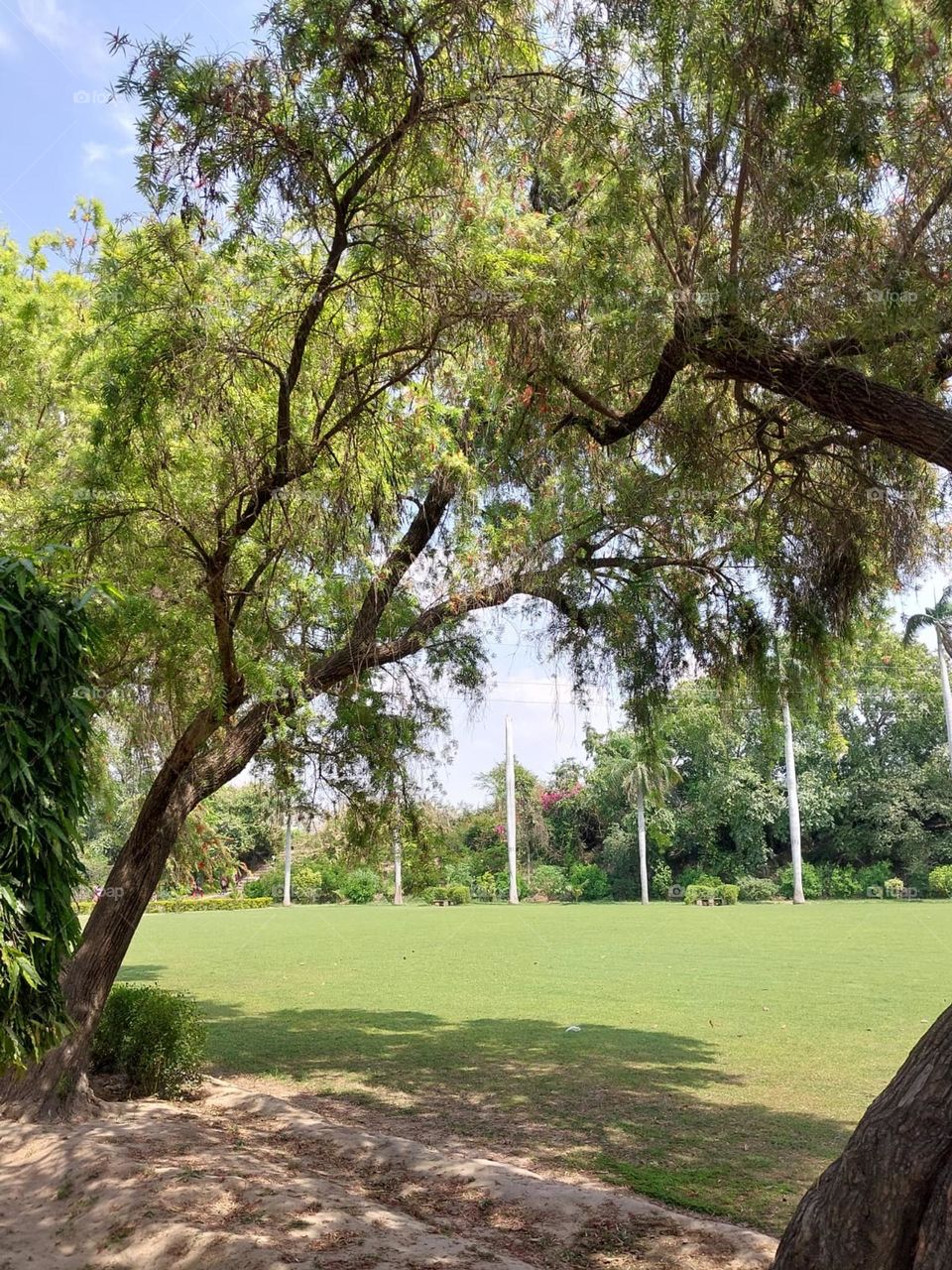 That looks like a peaceful and scenic spot! The flags add a nice touch to the serene setting. It seems like a perfect place to relax and enjoy nature. π³π©