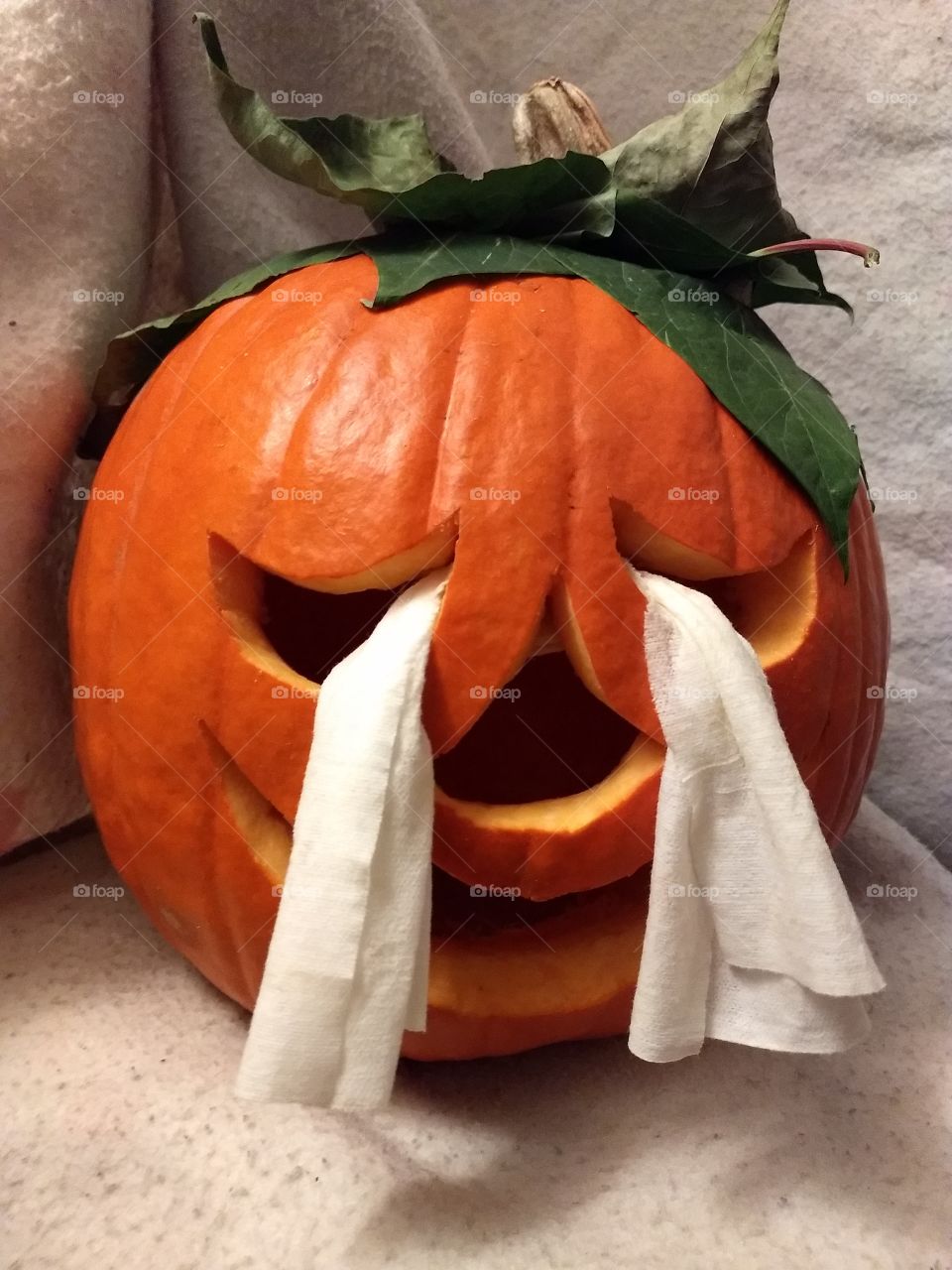 pumpkin Halloween party Autumn jack-o'-lantern haunt fall asleep Moon leaf tears cloth torture