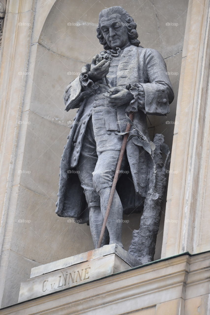 Carl Linnaeus Monument on the Royal Palace facade in Stockholm, Sweden