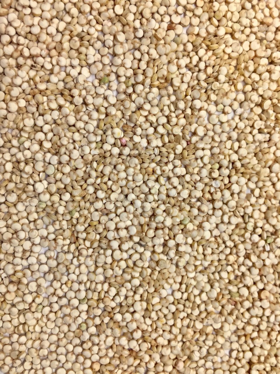 Quinoa