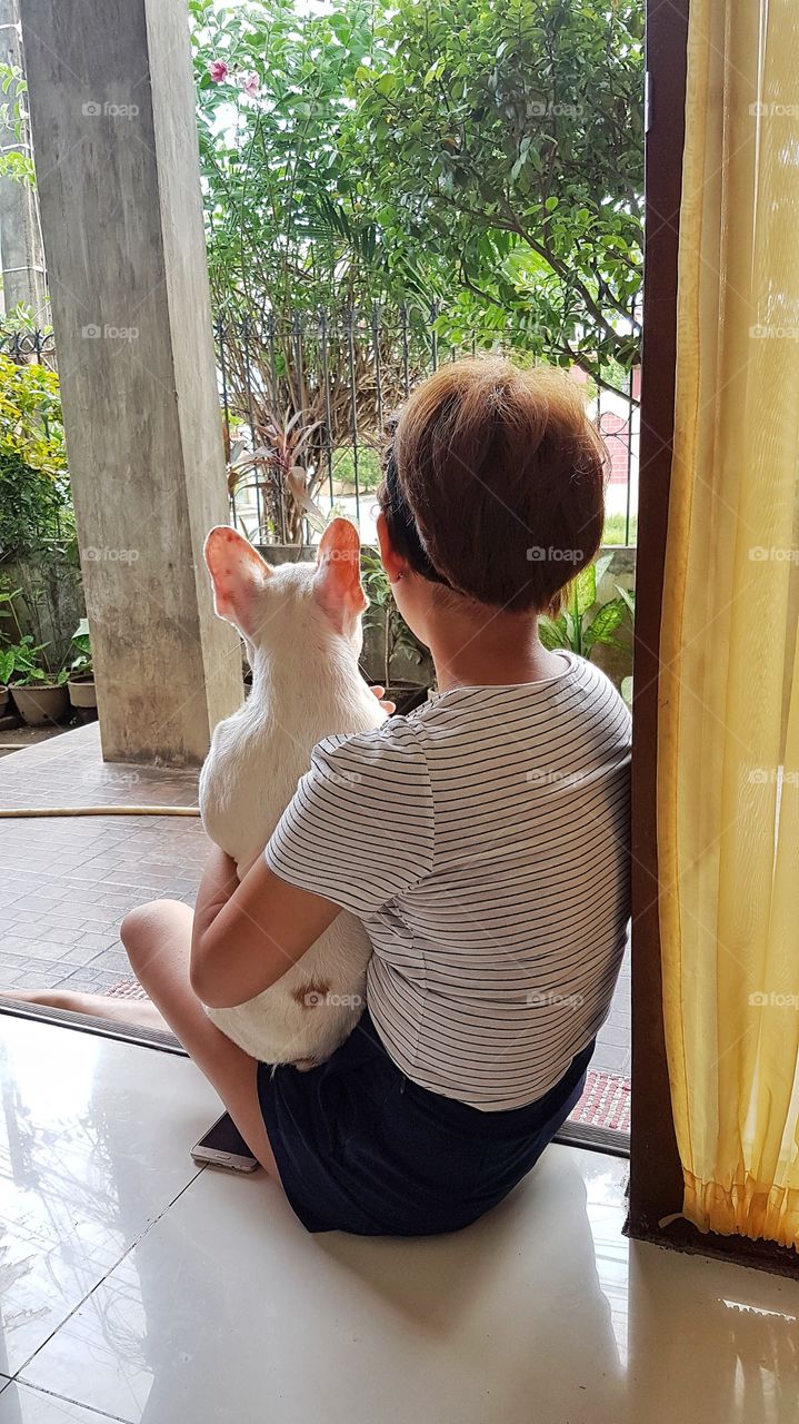 girl and dog looking out