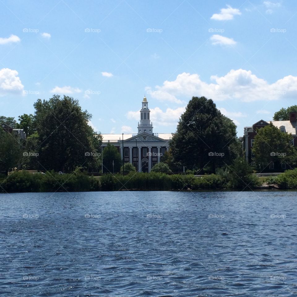 Harvard business school 