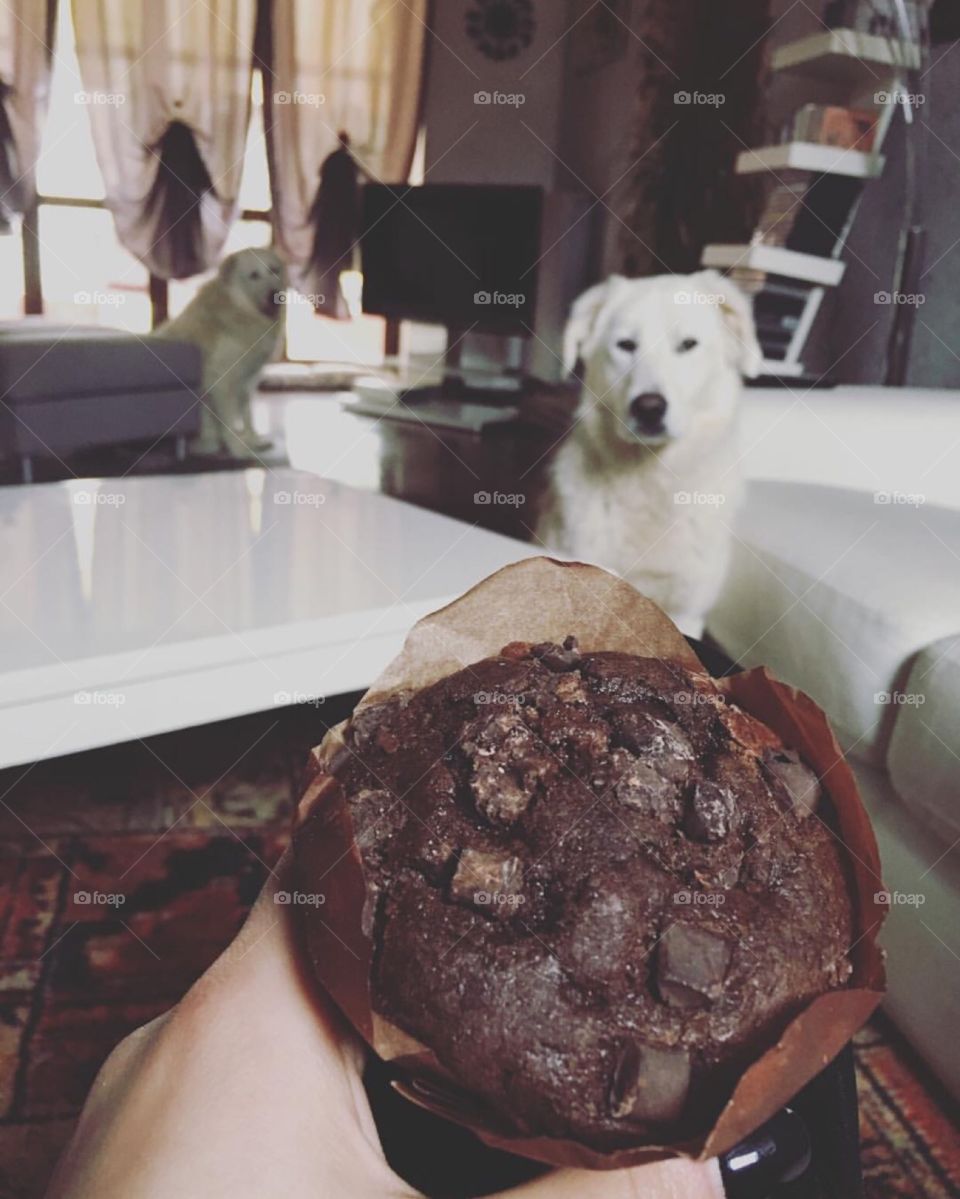 you will never eat Chocolate Muffin alone, mother.