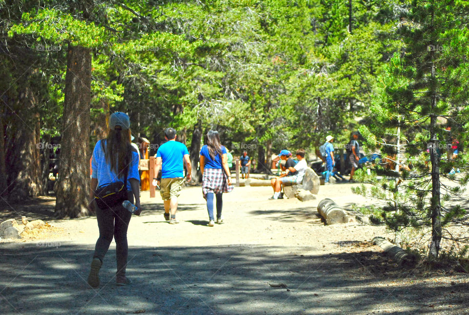 People, Friends, Lady, Trekking, relaxing, walking in the trails of the mountain