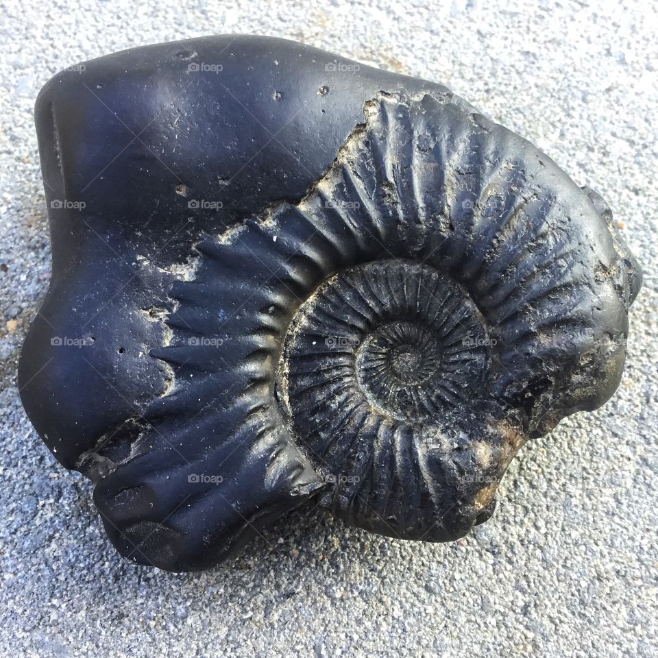 Aging and insufficient variation of us ...generations not being  able to coexist because it’s almost like we are different on different levels...anatomically,physical and functional...cluster fuck and what is the antidote...still something to learn