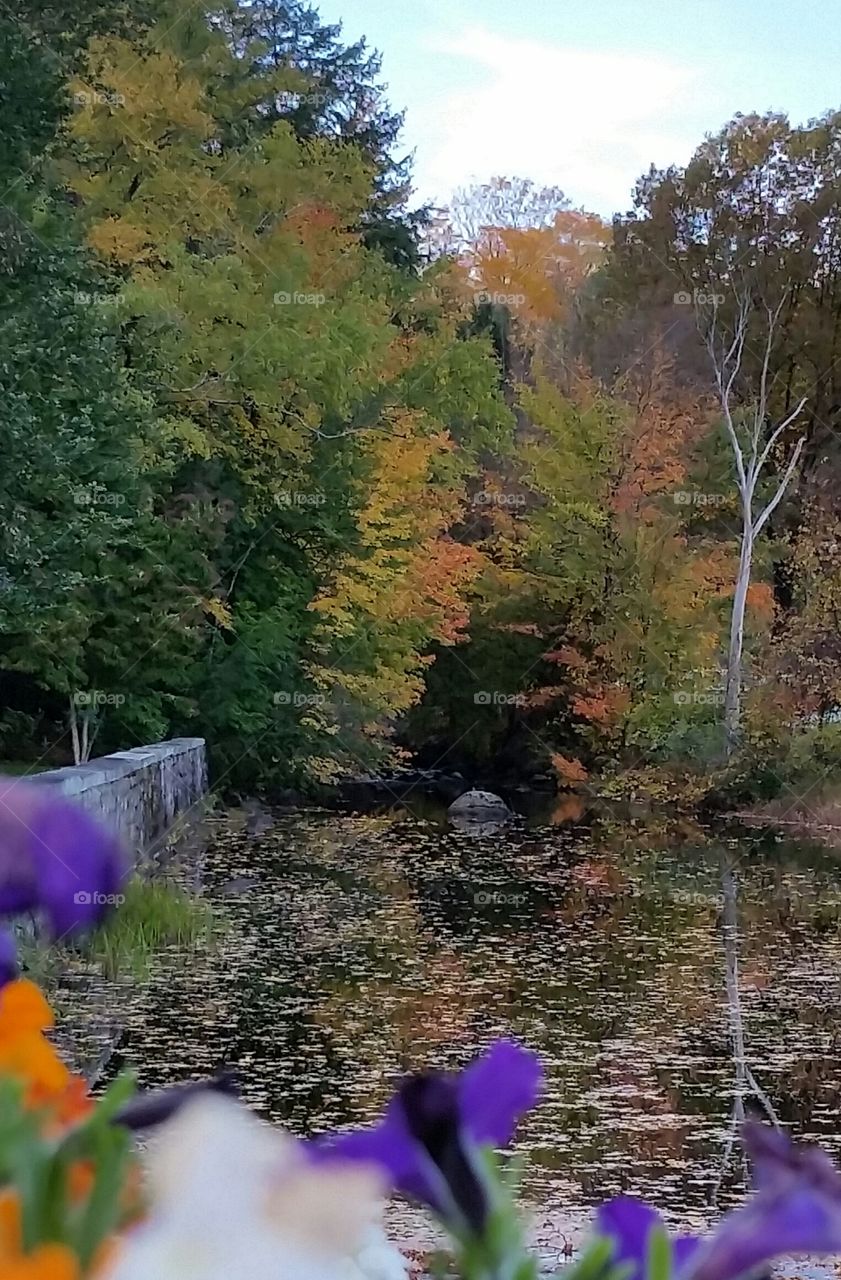Fall colors along the canal