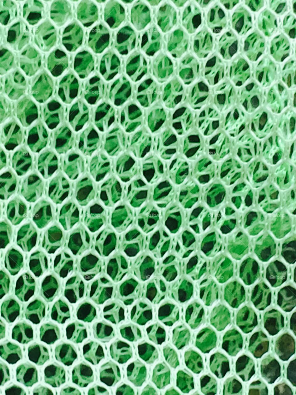 Green mesh