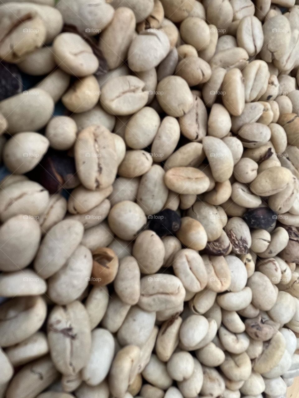 Coffee beans drying process 
