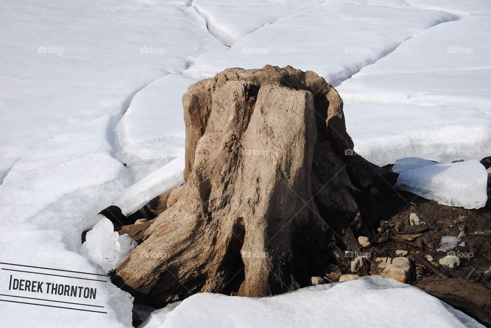 an old stump revealed after long months of drought and lack of snow.
water levels are down 40+ feet from the previous years.

shot at Moore reservoir in Littleton,NH
Nikon D3000
85mm
mid afternoon.
