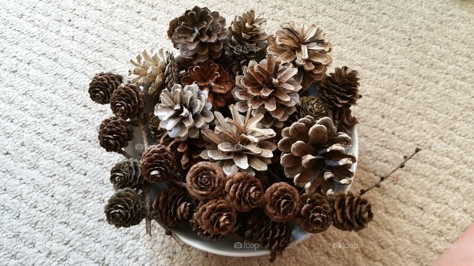 bleached ,pinecones, pinecone, autumn, autumnal,  seasonal, English,  October,  November,  September,  bleach, bleaching, crafted,  crafting,  craft, crafts, natural, decorating,  decorative,  Dec's