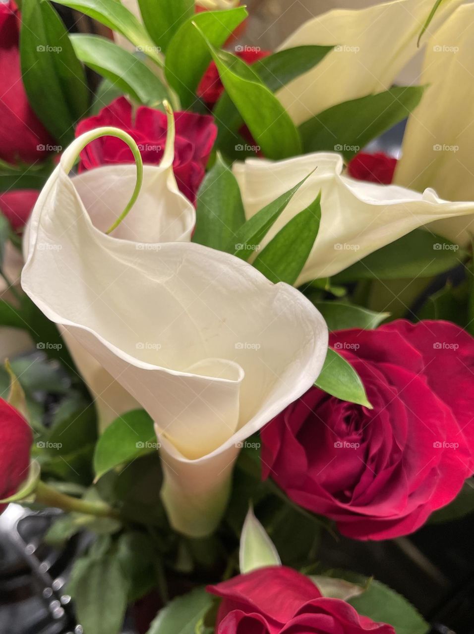 Cala Lilies and red roses. A beautiful bouquet for a Valentine’s Day sweetheart.