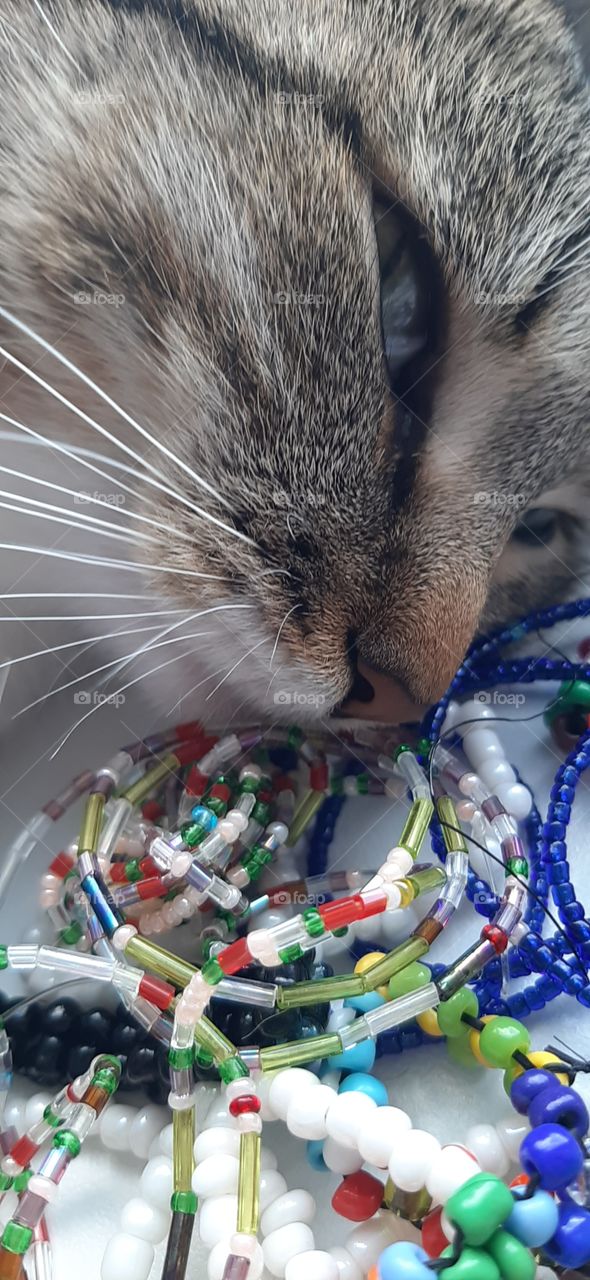 Вот   теперь   точно   выберу  украшения!