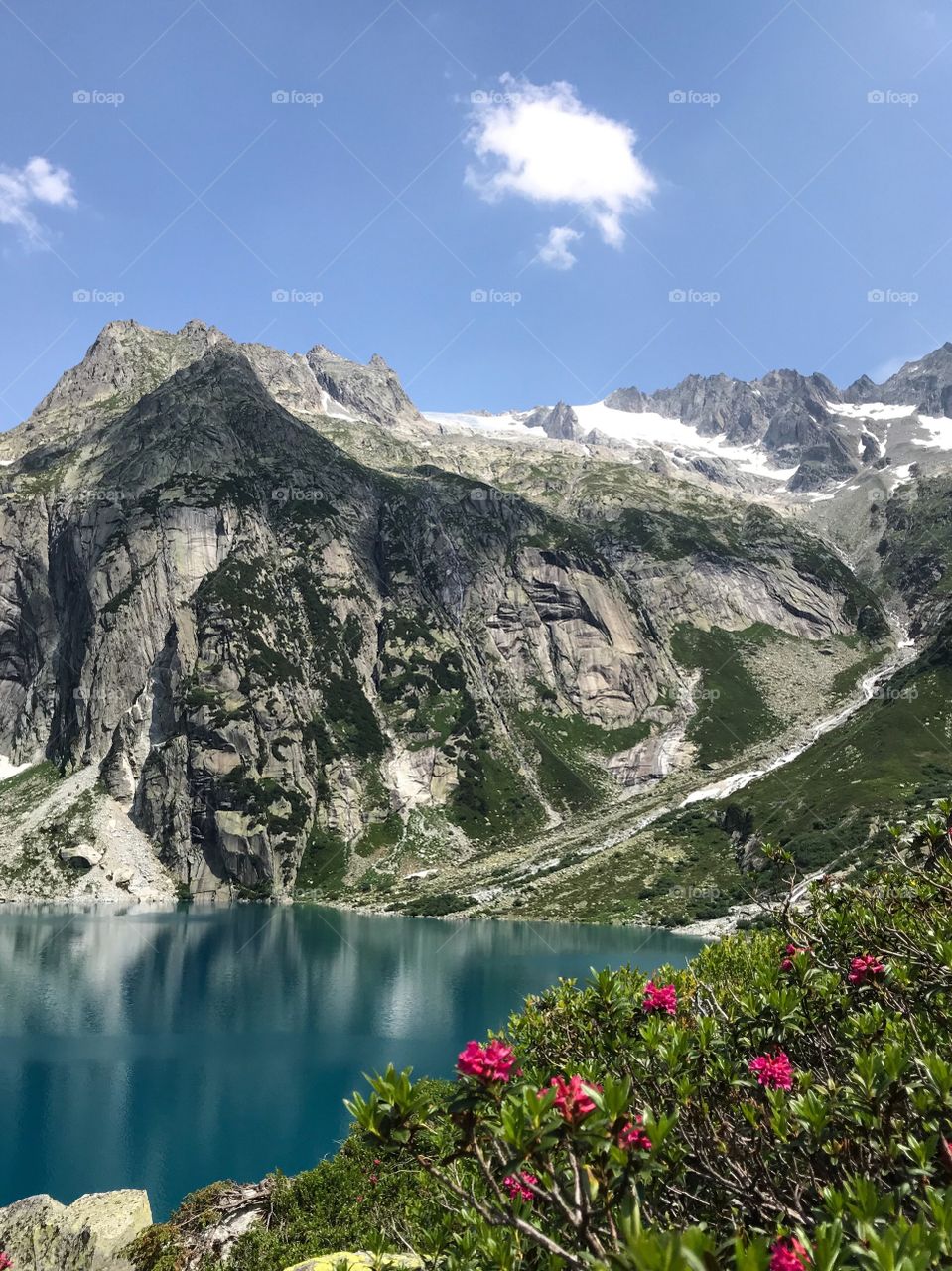 Swiss Mountain 