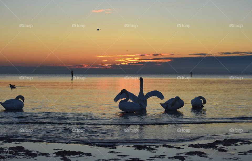 Water, Sunset, Sea, Ocean, Dawn