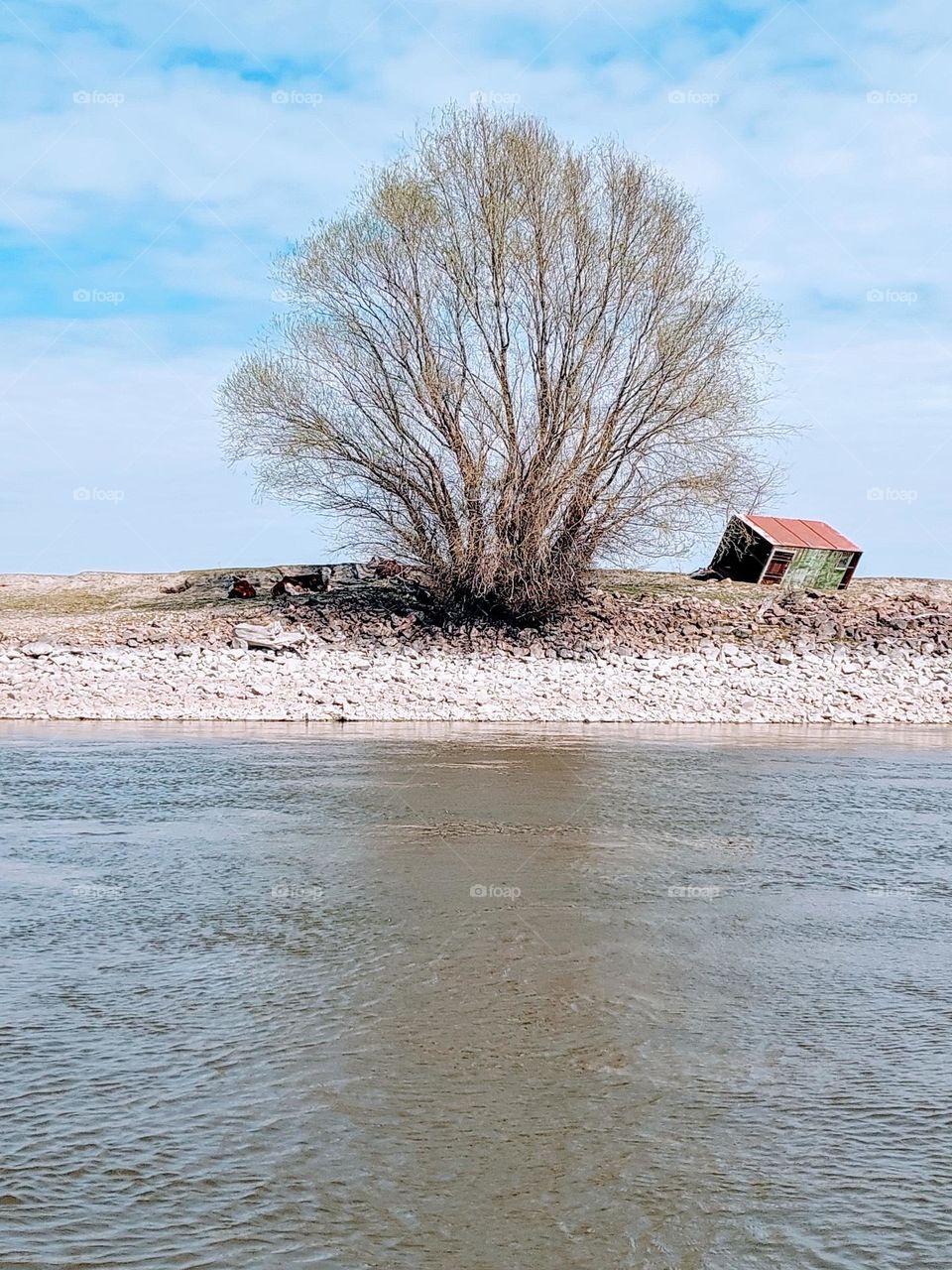 An abandoned shack, a bare tree on an impoverished river bank. Winter landscape.