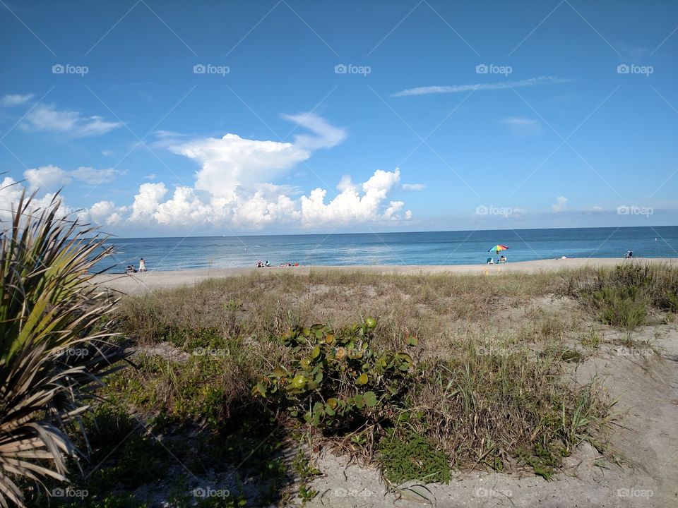 Ocean seascape.