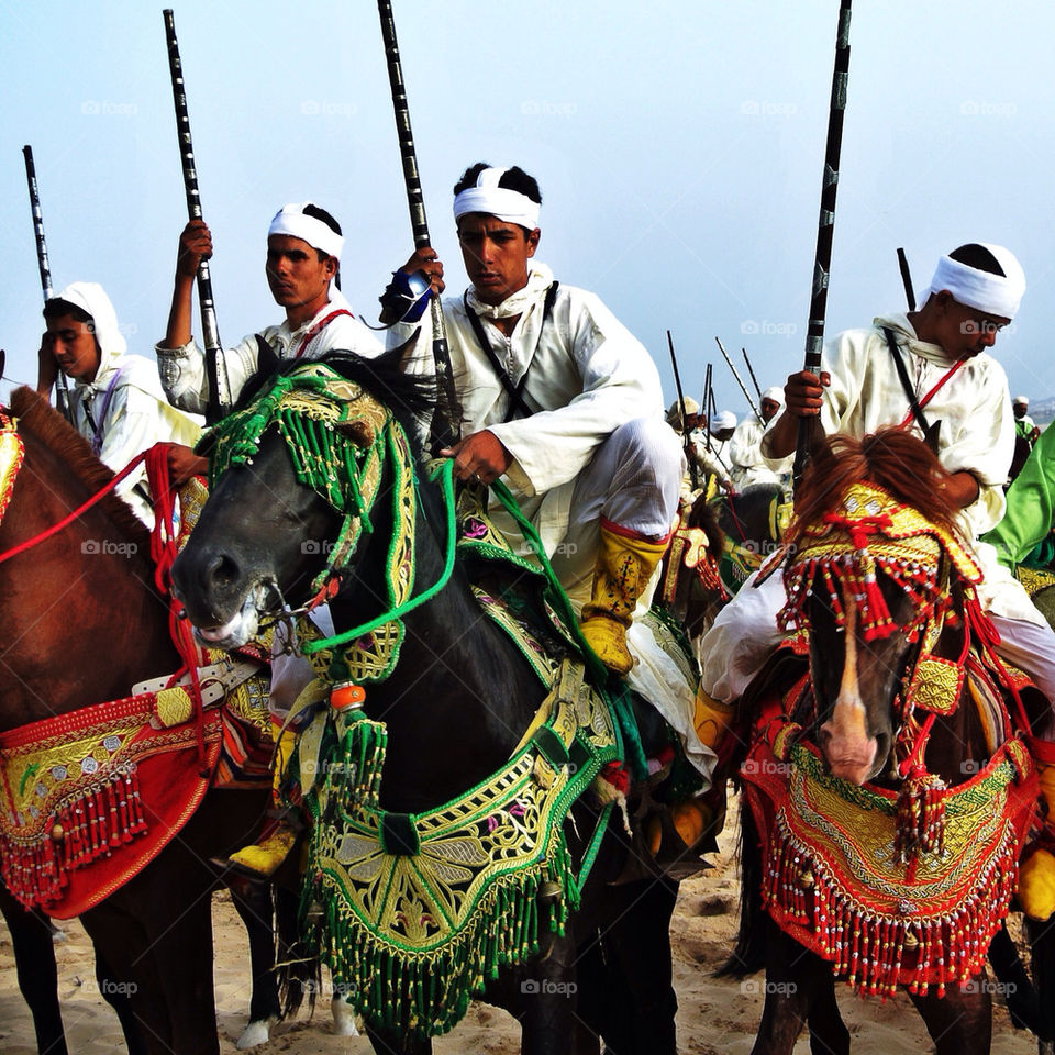 horse traditional morocco essaouira by peter_casa